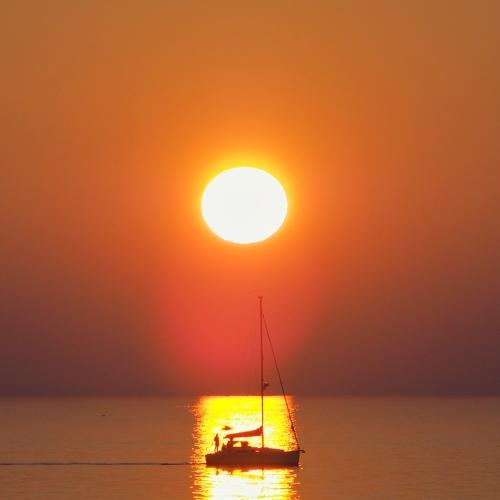 Photo #3394081