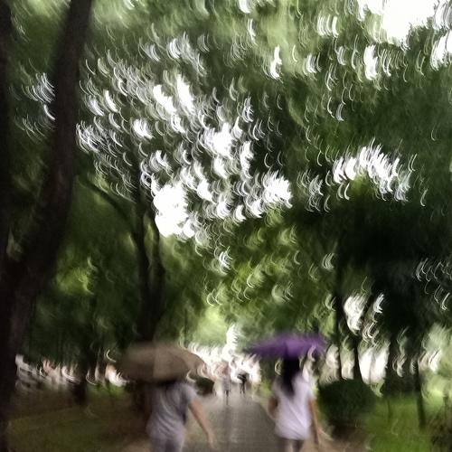 Photo #3394099