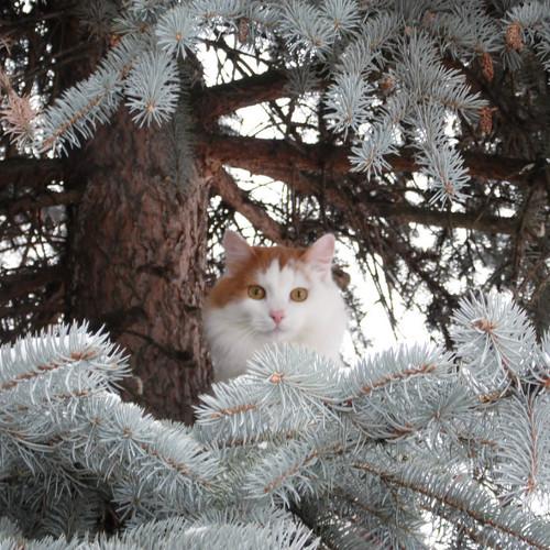 Кузьмич