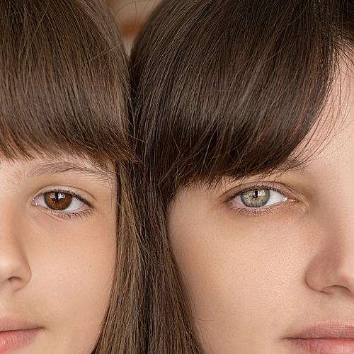 Photo #3397040