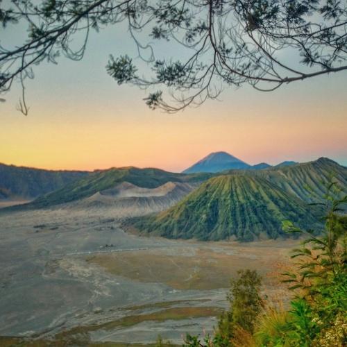 Bromo