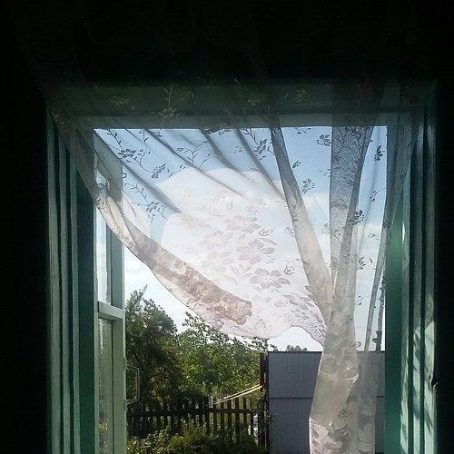 Photo #3398319