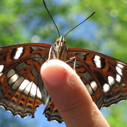 Photo #3399761