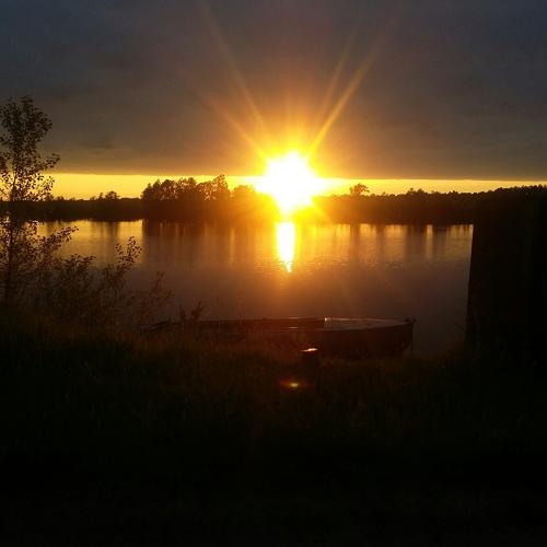 Photo #3400501