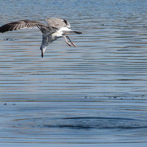 Photo #3401356
