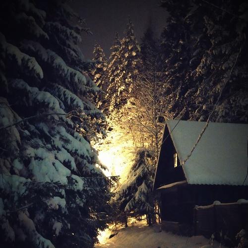 Winter night