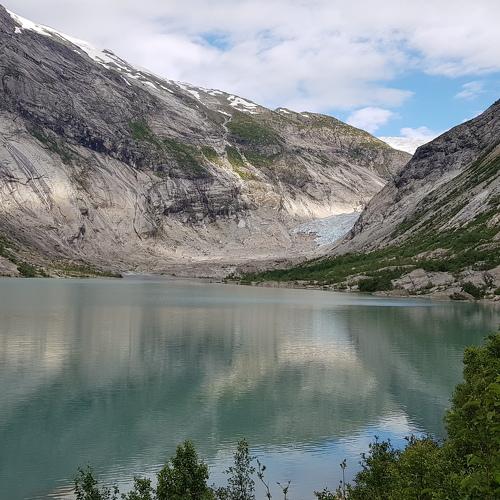 Photo #3401611