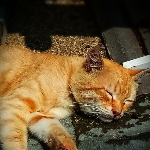 Photo #3402228