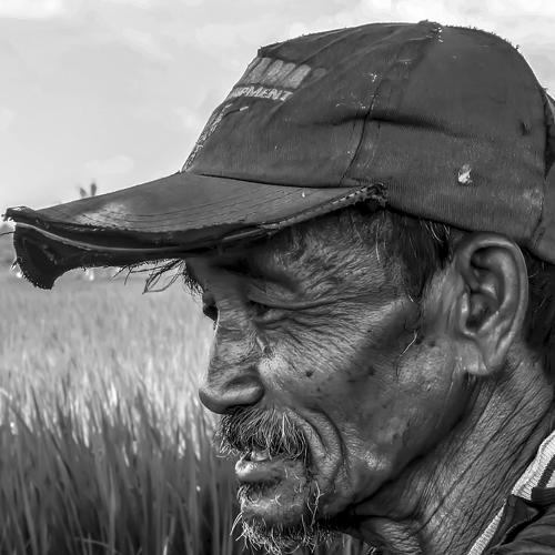 The Old Farmer
