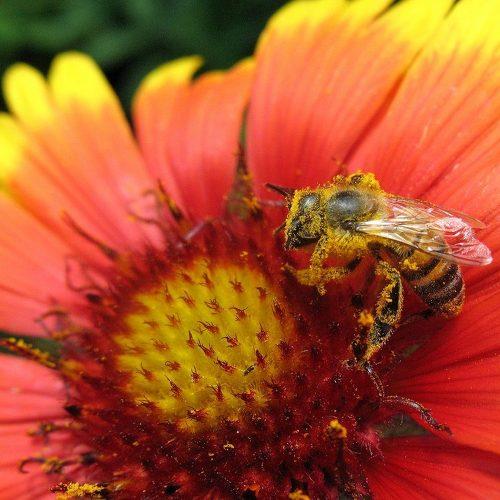 Фотография #3403024