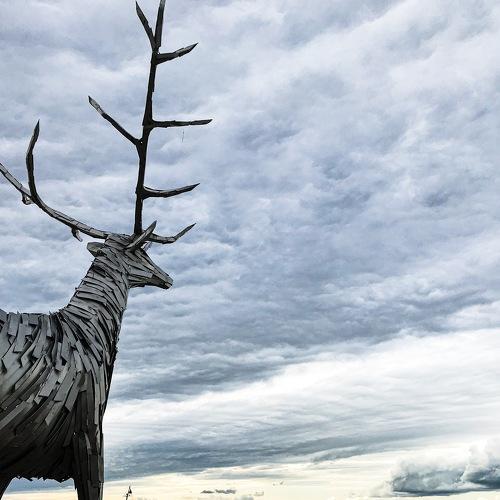 Photo #3403204
