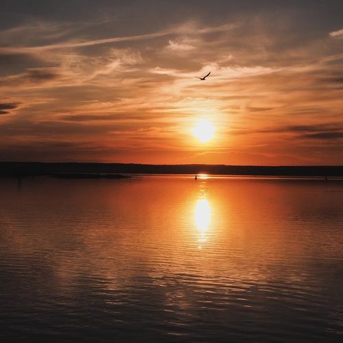 Photo #3403223