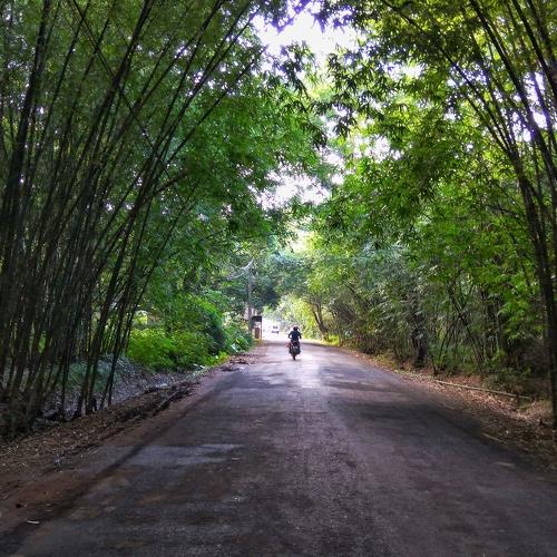 Through the greens
