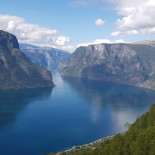 Photo #3404957
