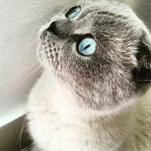 Photo #3405219