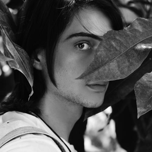 Photo #3406966