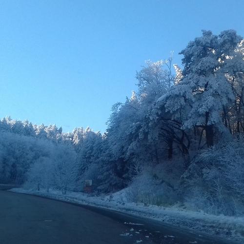 Winter road