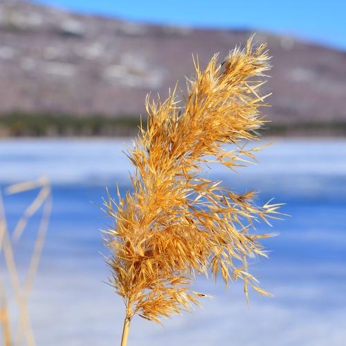 Photo #3409558