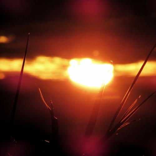 A sunrise i would never forget