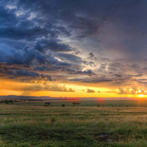 Wild African Sunset