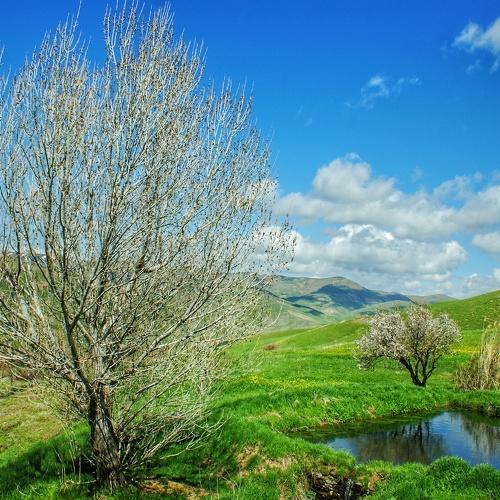 عکس خوب در تلفن