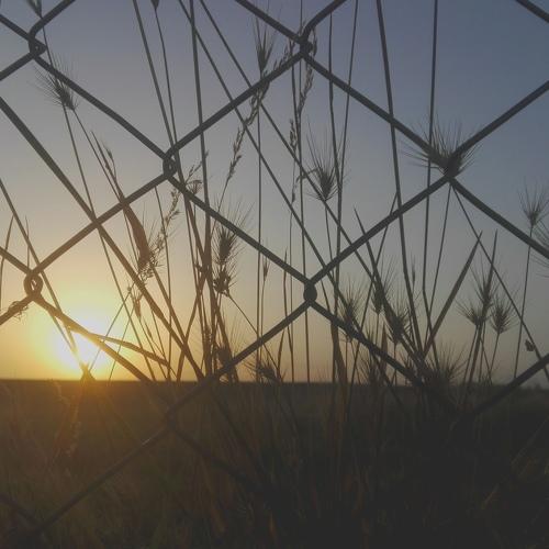 Dreaming moment
