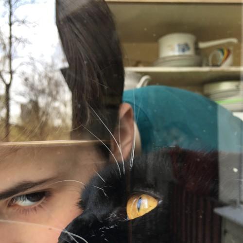 Photo #3413228