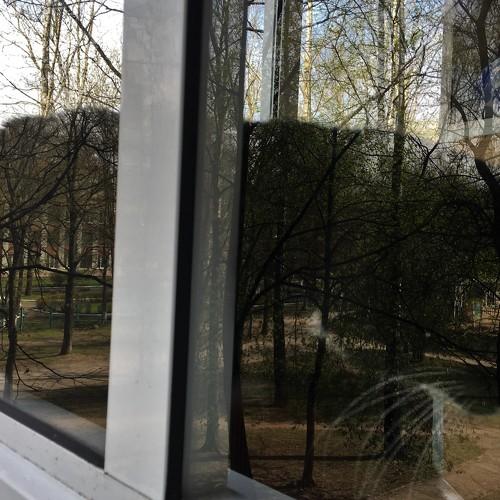 Photo #3413234