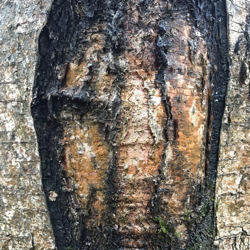 Photo #3413265
