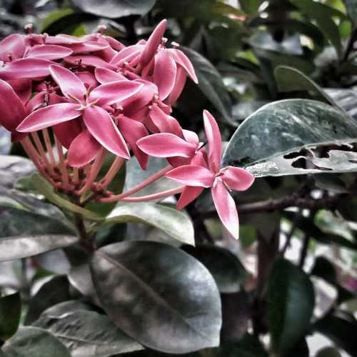 Photo #3414003