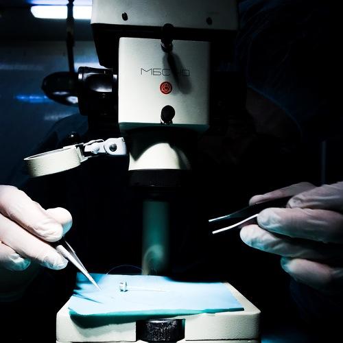 Photo #3414765
