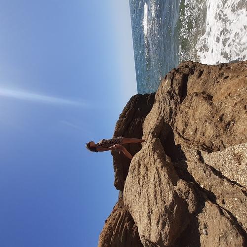 Photo #3415200