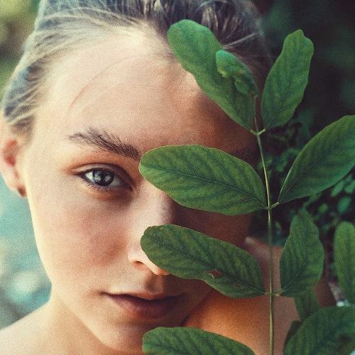 Photo #3416001