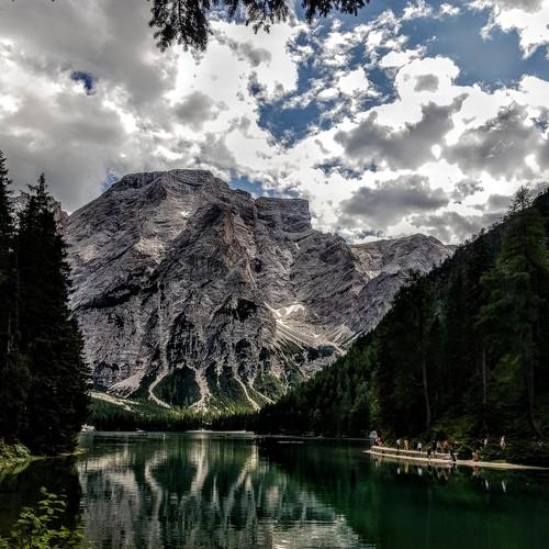I riflessi