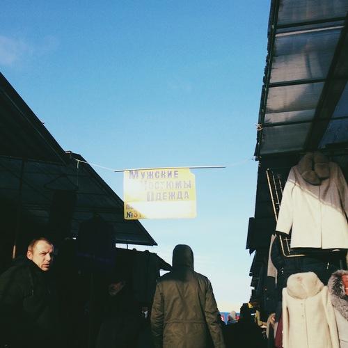Photo #3416688