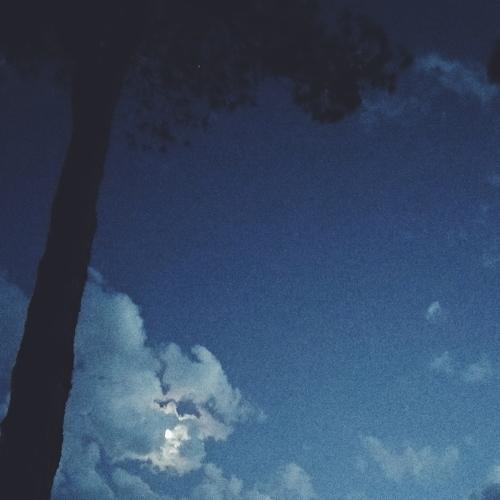 Toscana night