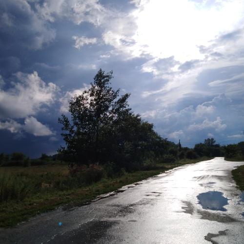 Photo #3416791