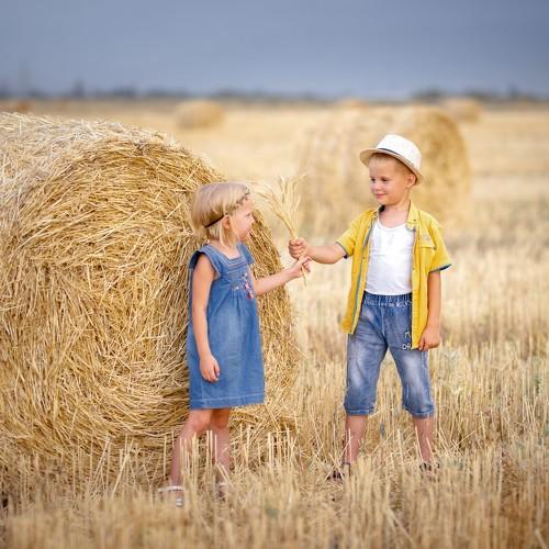 Photo #3416936