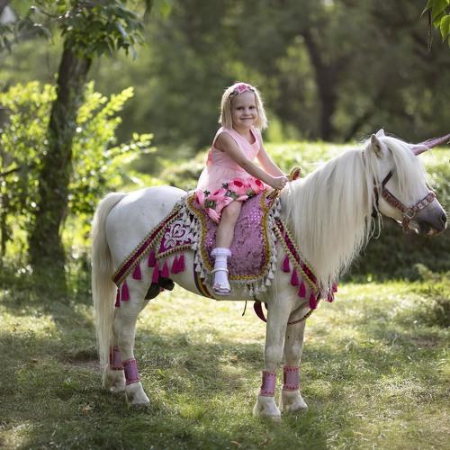Photo #3417004