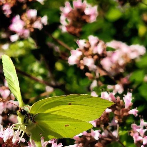 Photo #3417220