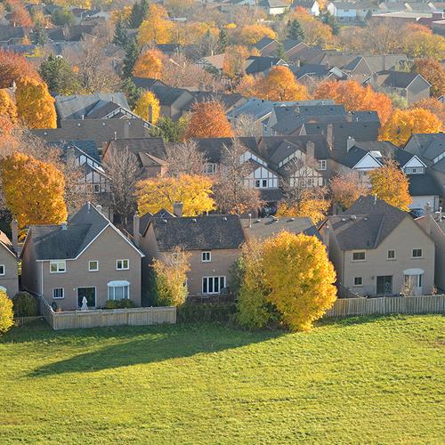 Yellow autumn.