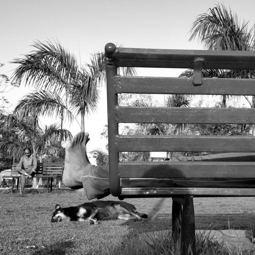 Scene