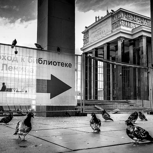 Библиотека / Library