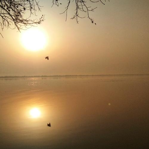 The Ganga :- A morning scene