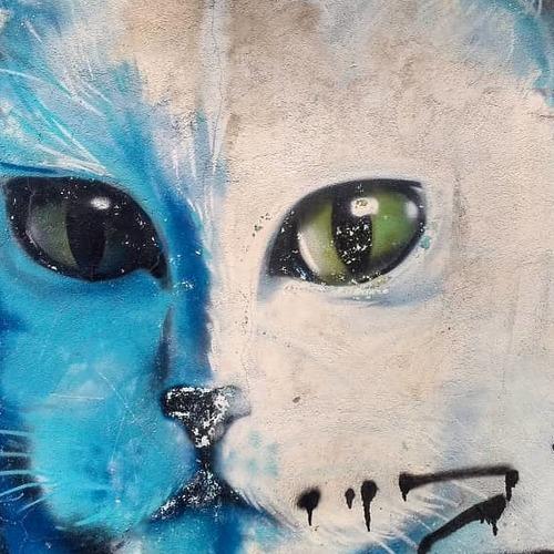 Photo #3419928