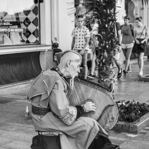 Photo #3420308