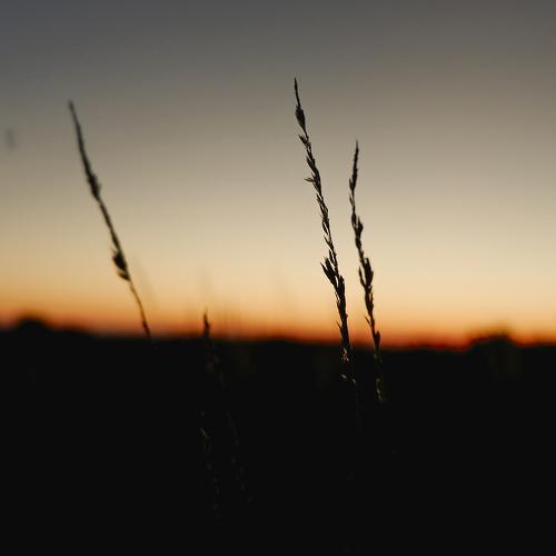 between light and dark