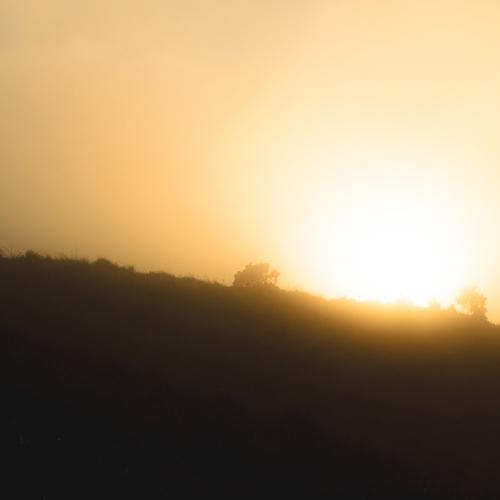 Into The Sun