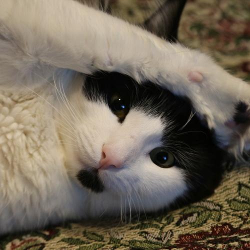 Photo #3422544