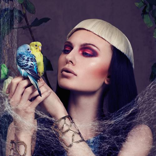 Photo #3423703